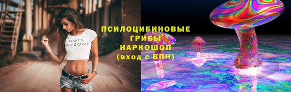 ГАЛЛЮЦИНОГЕННЫЕ ГРИБЫ Абинск