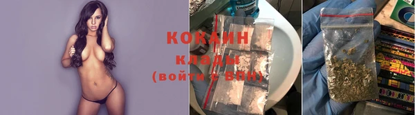 ГАЛЛЮЦИНОГЕННЫЕ ГРИБЫ Абинск