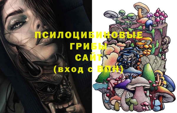 ГАЛЛЮЦИНОГЕННЫЕ ГРИБЫ Абинск