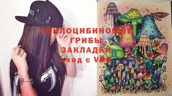 круглые Болотное