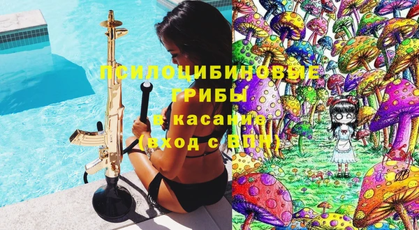 ГАЛЛЮЦИНОГЕННЫЕ ГРИБЫ Абинск