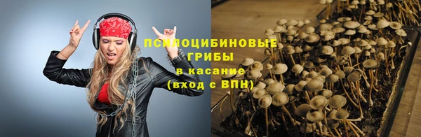 мяу мяу мука Абдулино