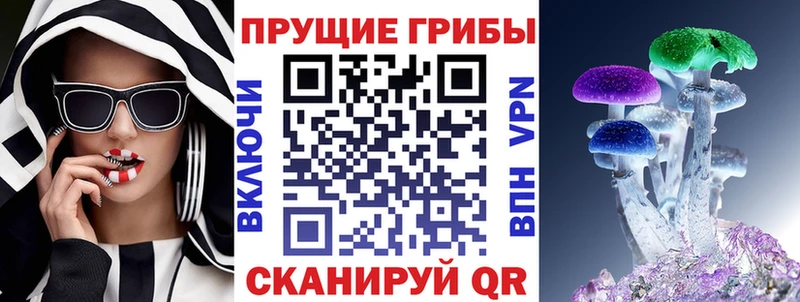 Псилоцибиновые грибы MAGIC MUSHROOMS  что такое наркотик  Курчатов 
