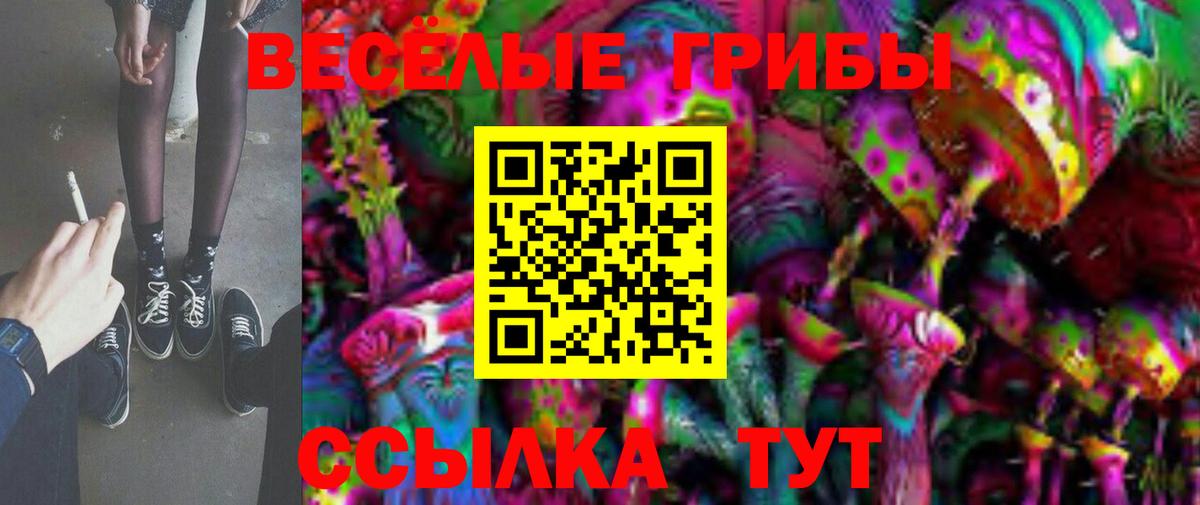 Курчатов  Галлюциногенные грибы MAGIC MUSHROOMS  Вход с VPN  Галлюциногенные грибы Psilocybe 