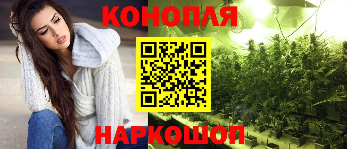 Бошки марихуана семена Курчатов
